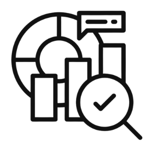 Data Auditing
